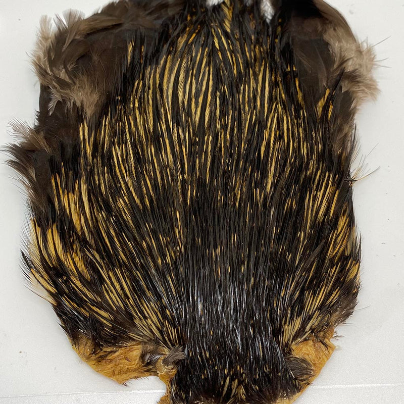 Veniard Indian Cock Cape