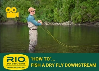 FISH A DRY FLY DOWNSTREAM