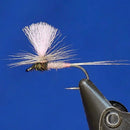 WHITING BRONZE CAPE "BRANKO KILLER"