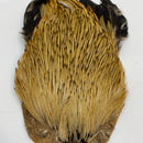 VENIARD INDIAN COCK CAPE