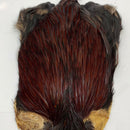 VENIARD INDIAN COCK CAPE