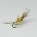 RIO CRIPPLE STILLBORN