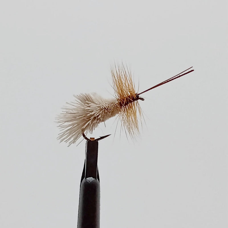 GODDARD CADDIS TAN