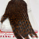 WHITING HEN CAPE PIUME