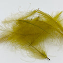 BSF CDC JUMBO