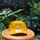 Cappellino Garue 1885