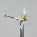 EPHEMERA MAYFLY BARBLESS