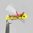 MISTER CRICKET BARBLESS