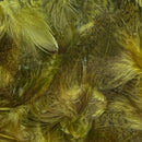 VENIARD ENGLISH PARTRIDGE 1GR