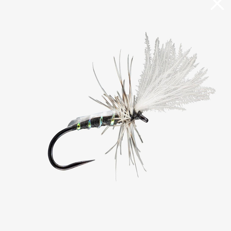 RIO SLICK MIDGE ADULT