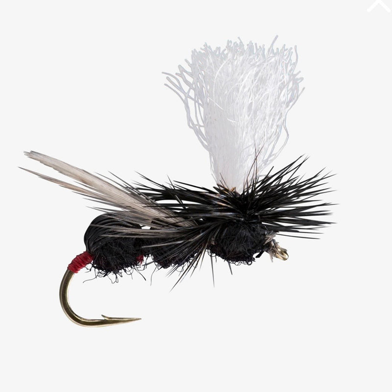 RIO DEER HAIR ANT
