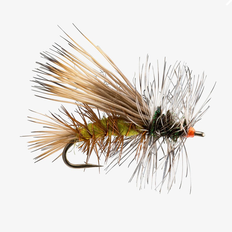Mosche :: Secche :: DRY FLY SPECIAL BICOLOR PARACHUTE CADDIS 14 Mosche :: Secche :: DRY FLY SPECIAL BICOLOR PARACHUTE CADDIS 14