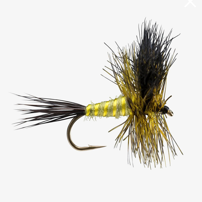 RIO GREEN DRAKE WULFF