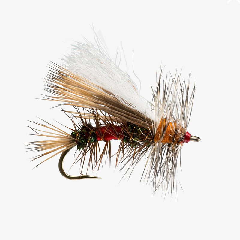 RIO STIMULATOR