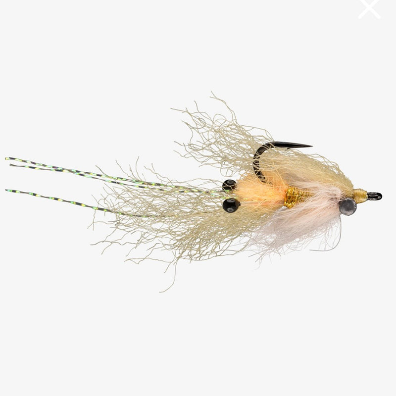 RIO CHRISTMAS MANTIS