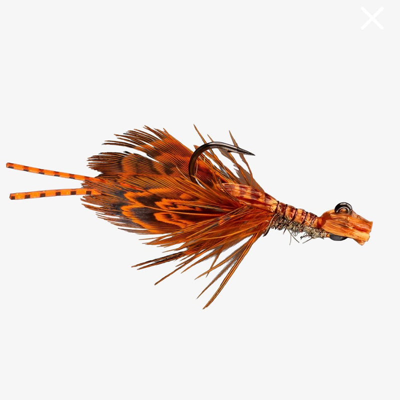 RIO KING SPREYFISH