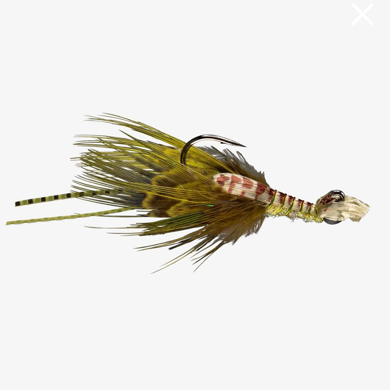 RIO KING SPREYFISH