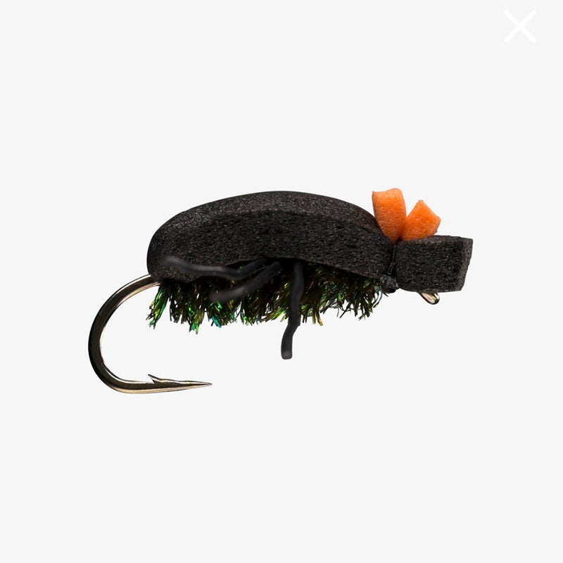RIO FOAM BEETLE