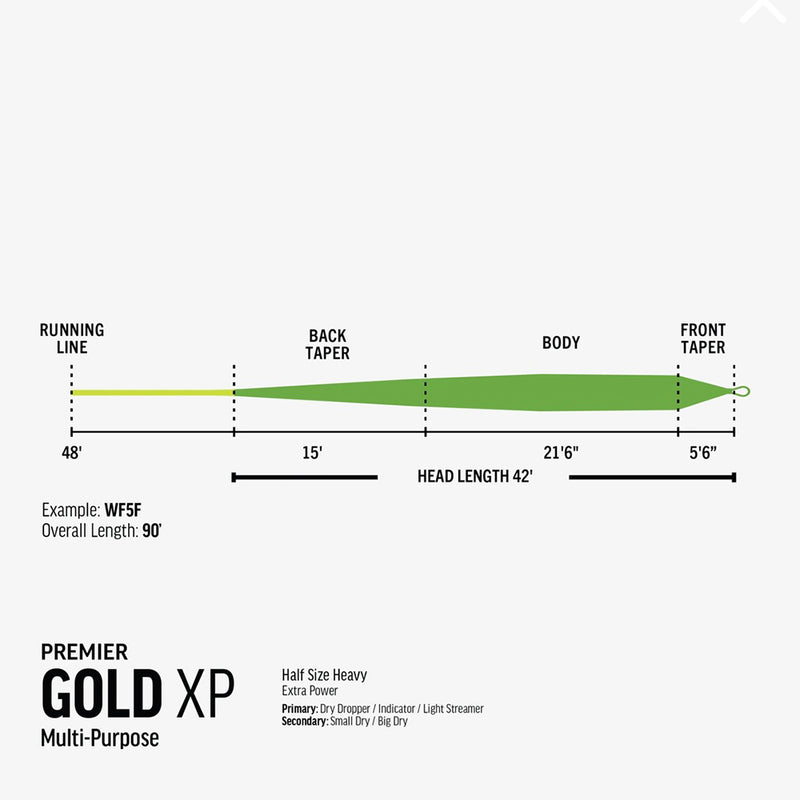 RIO PREMIER GOLD XP