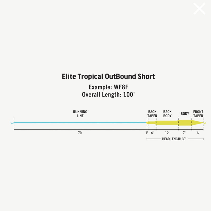 RIO ELITE TROPICAL OUTBOUND SHORT INTERMEDIA