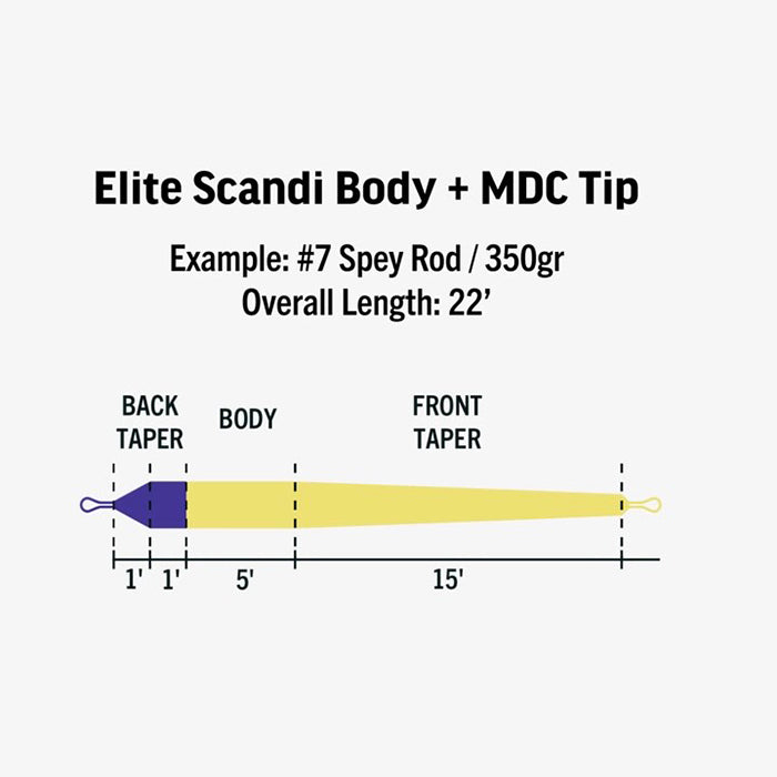 RIO ELITE SCANDI BODY SHOOTING HEAD