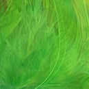 VENIARD SCHLAPPEN PIUME