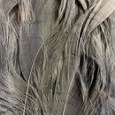 VENIARD SCHLAPPEN PIUME