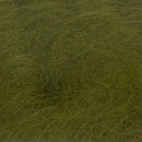 VENIARD SEALS FUR SOSTITUTO