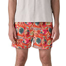 Patagonia Baggies Shorts - 5" pantaloncini