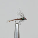 PHEASANT TAIL