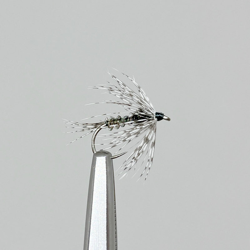 PEACOCK WET