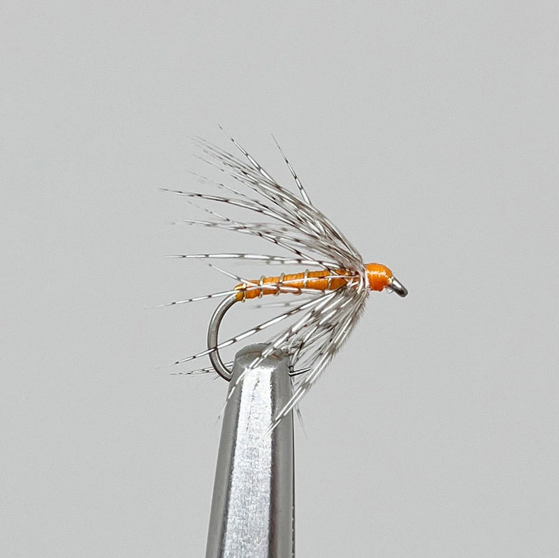 PARTRIDGE & ORANGE
