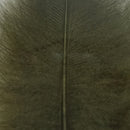 VENIARD CDC SUPER SELECT