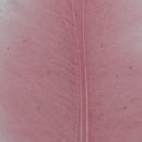 VENIARD CDC SUPER SELECT