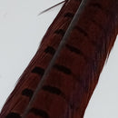 VENIARD CODE FAGIANO MASCHIO