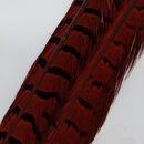 VENIARD CODE FAGIANO MASCHIO