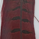 VENIARD CODE FAGIANO MASCHIO