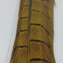 VENIARD CODE FAGIANO MASCHIO