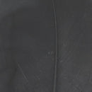 VENIARD GOOSE SOFT PENNE