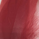 VENIARD GOOSE SOFT PENNE