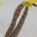 VENIARD HEN PHEASANT CENTER TAIL