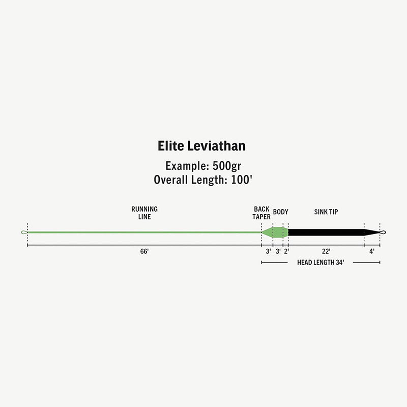 Rio Elite Leviathan Sink Tip