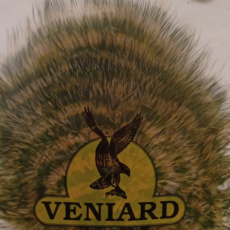 VENIARD BARRED MARABOU