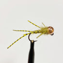 Ninfa BB Olive barbless