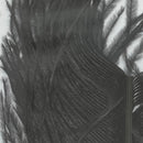 VENIARD OSTRICH HERL OSTRICH