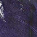 VENIARD OSTRICH HERL OSTRICH