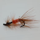 Black & Orange Shrimp