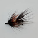 Black & Yellow Shrimp