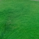 VENIARD SEALS FUR SOSTITUTO