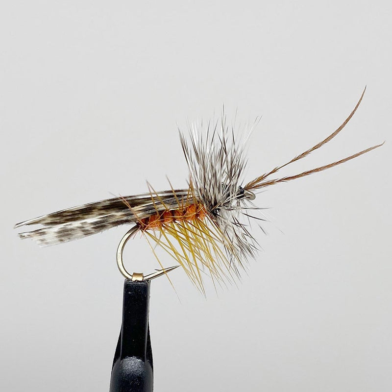 Sedge Brown Grizzly